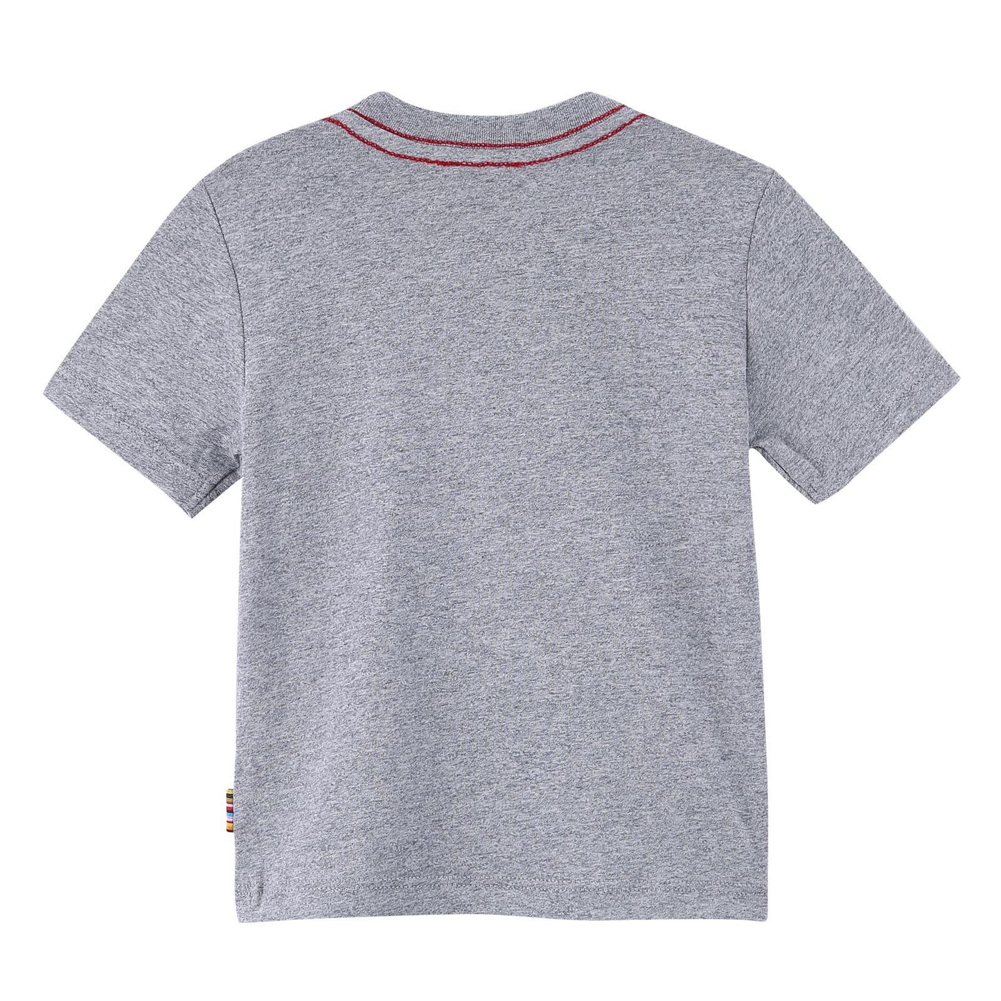 Boys Grey Cotton Colorful Zebra Printed T-Shirt