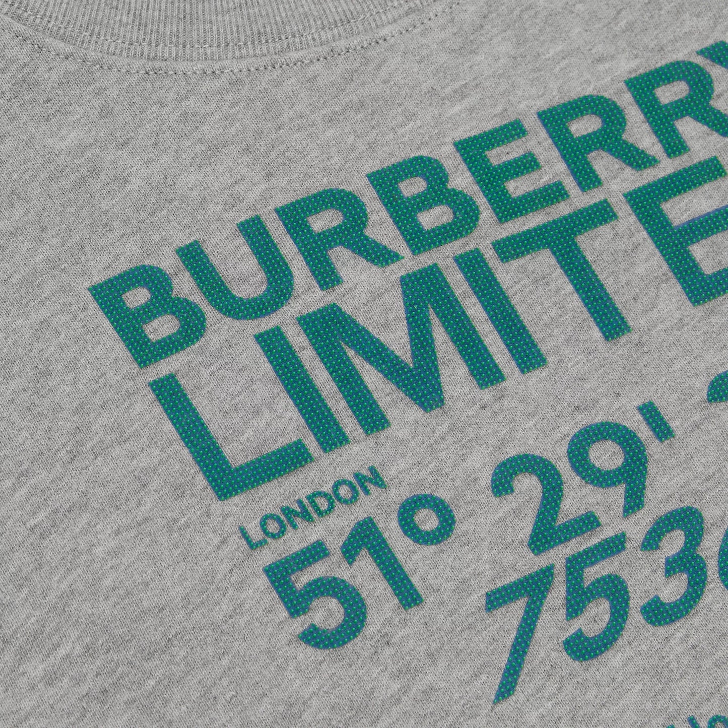 男童灰色Logo棉卫衣