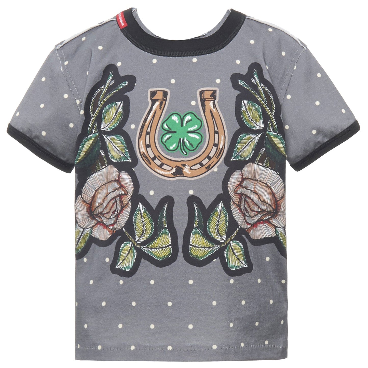 Boys Grey Peas Rose Printed Trims Cotton T-Shirt