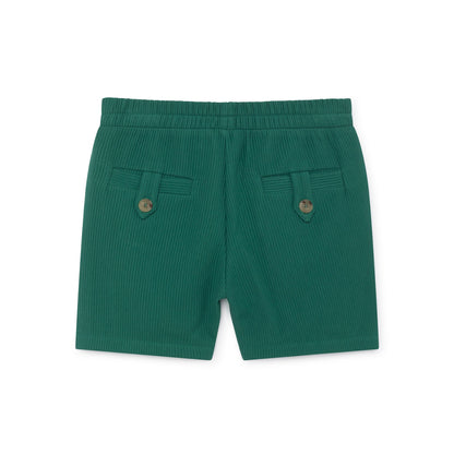 Boys Frosty Spruce Orange Cotton Shorts