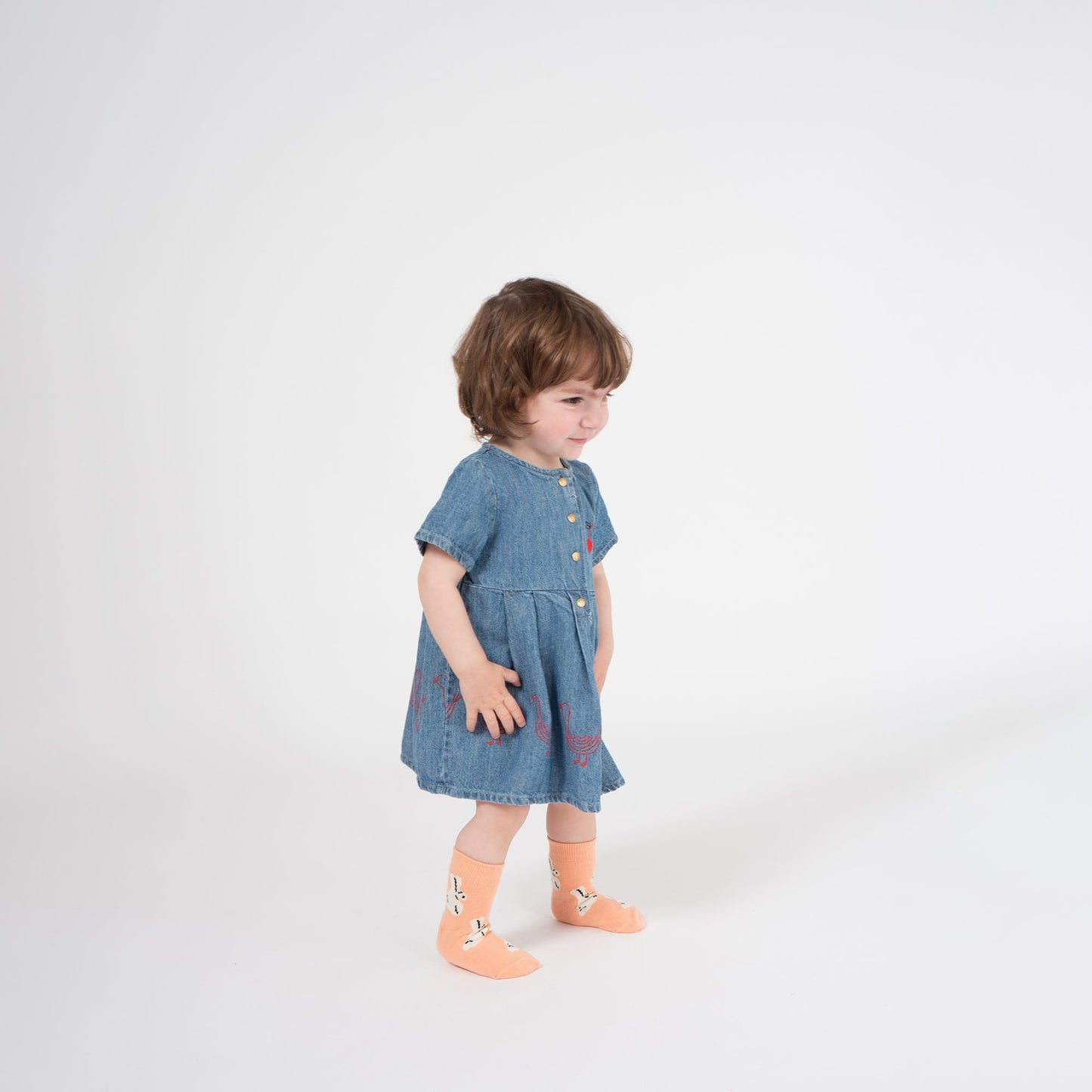 Baby Ashley Blue Cotton Geese Princess Dress