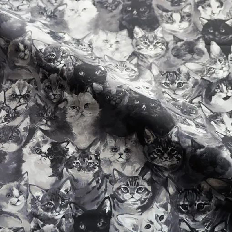 女士黑色"Find your Cat!-Black Cats"芭蕾舞连体衣(182999077/Plie/Black)