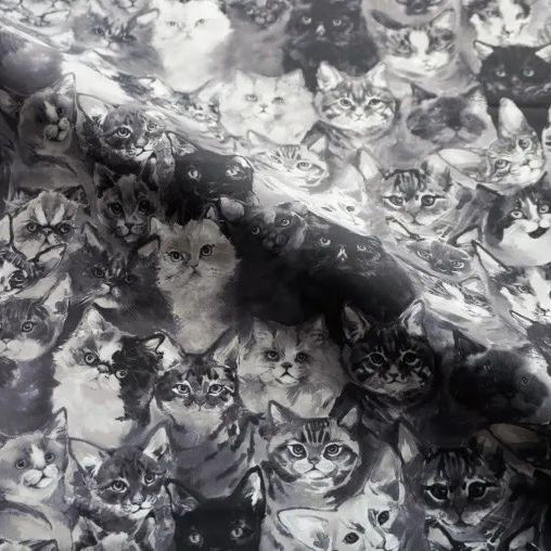 女童黑色"Find your Cat!-Black Cats/Plie/Black"芭蕾舞高叉连体衣