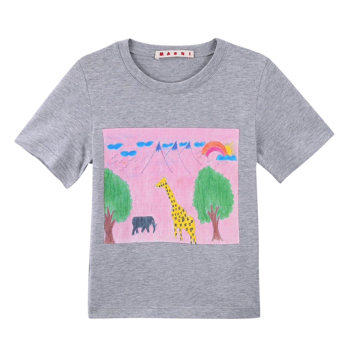 Girls Grey Animal Printed Cotton Jersey T-Shirt