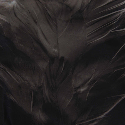 女童黑色羽毛芭蕾舞连体衣(J181LE01VL/black)