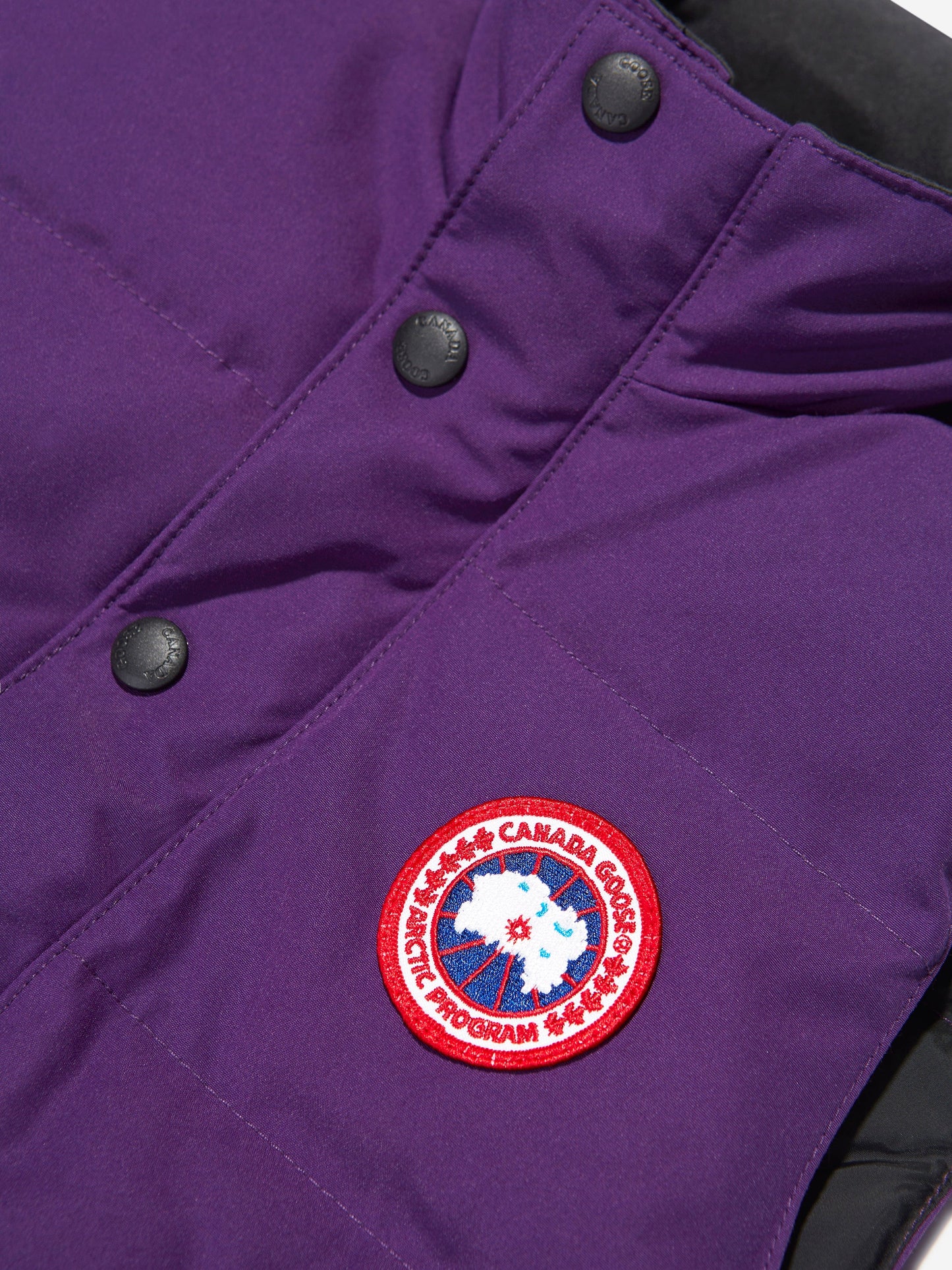 Canada Goose 儿童羽绒填充 Vanier 背心（紫色）
