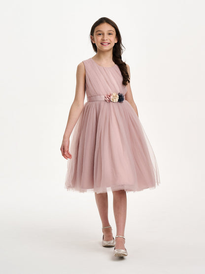 Girls Aurora Belle Dress in Pink