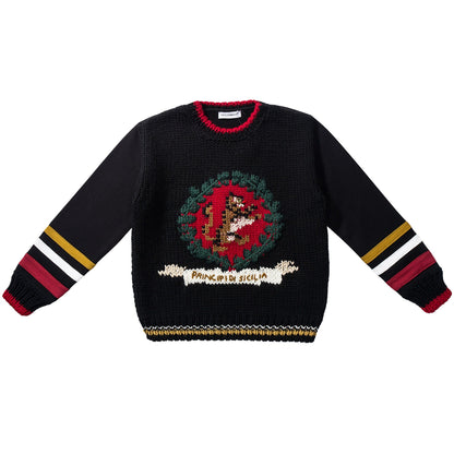 Baby  Boys  Blue  Sweater