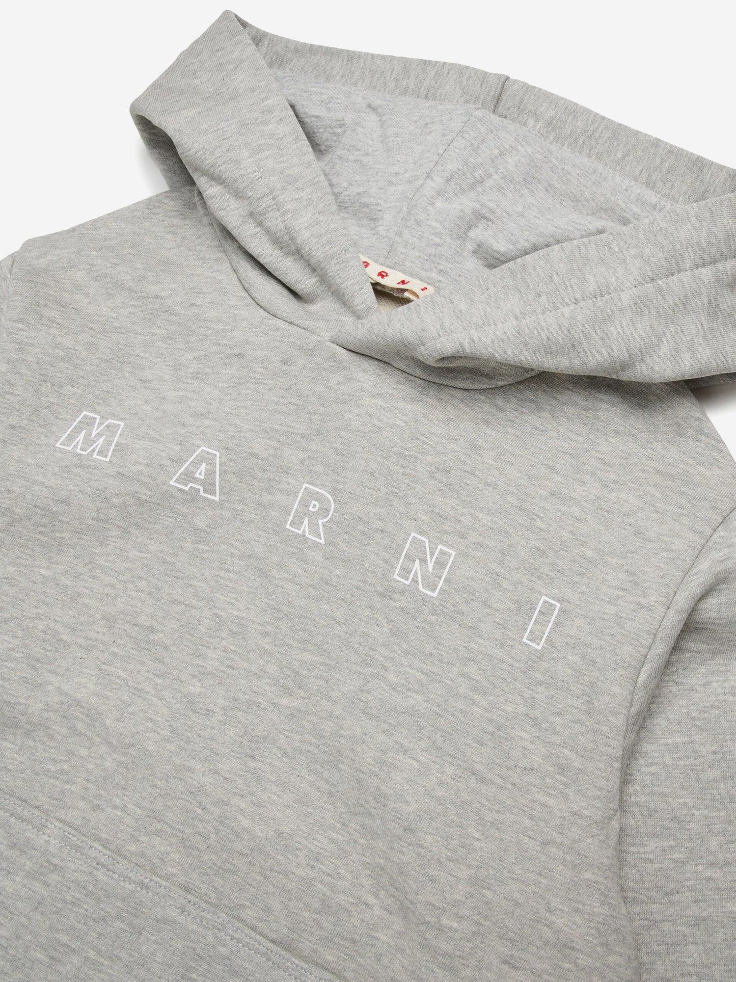 Kids Logo Hoodie in Grey