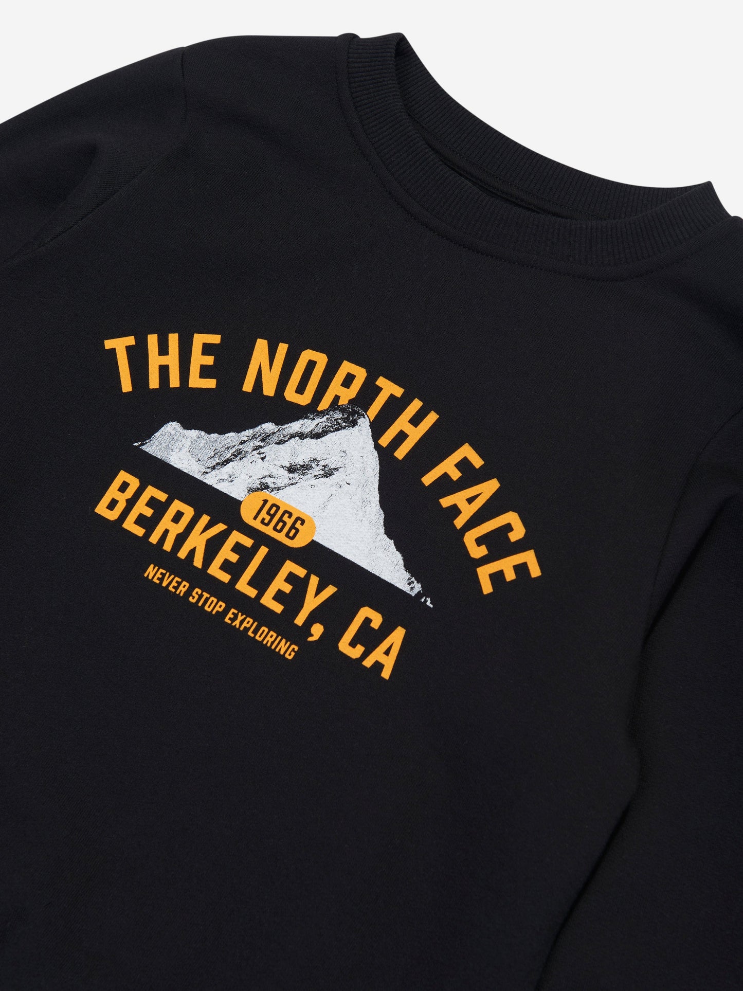The North Face 儿童 Varsity Grahic 休闲运动衫（黑色）