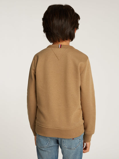 Boys Monotype 1985 Label Sweatshirt in Brown