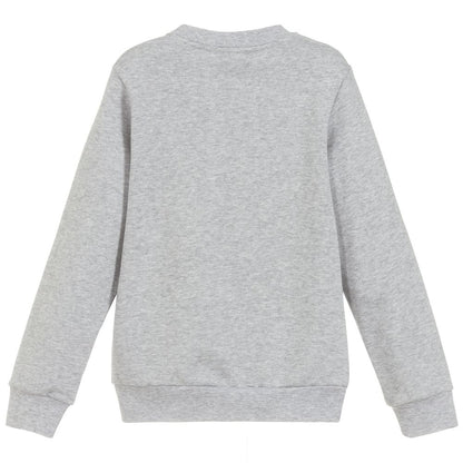 Boys Grey Skateboard Sweater