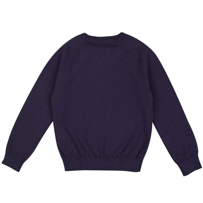 Baby Boys Navy Blue Embroidered Logo Sweater