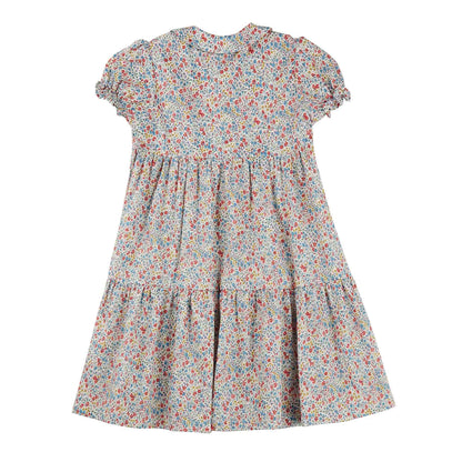 Girls Blue & Red Cotton Dress