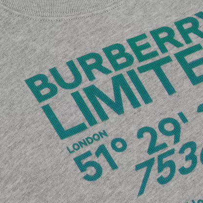 男童灰色Logo棉卫衣