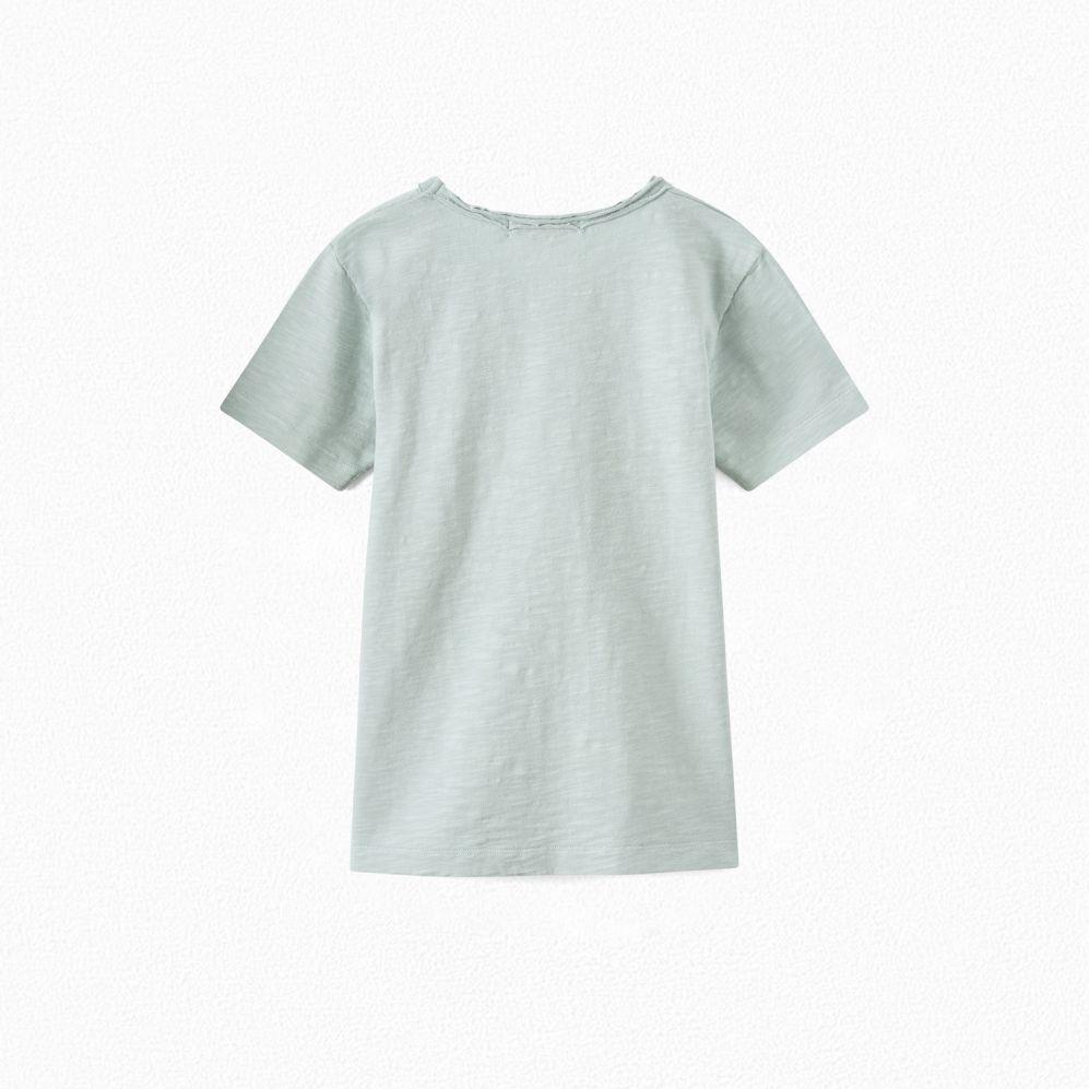 Boys Green Celadon Print T-Shirt