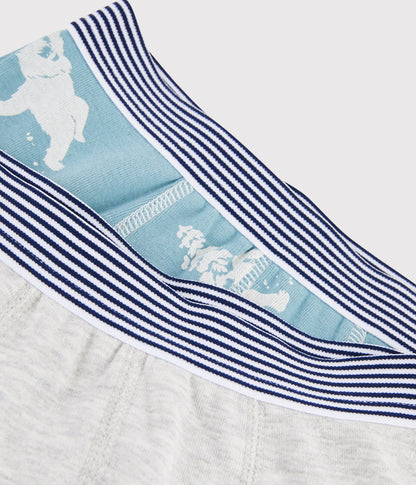 Boys Multicolor Cotton Underwear Sets