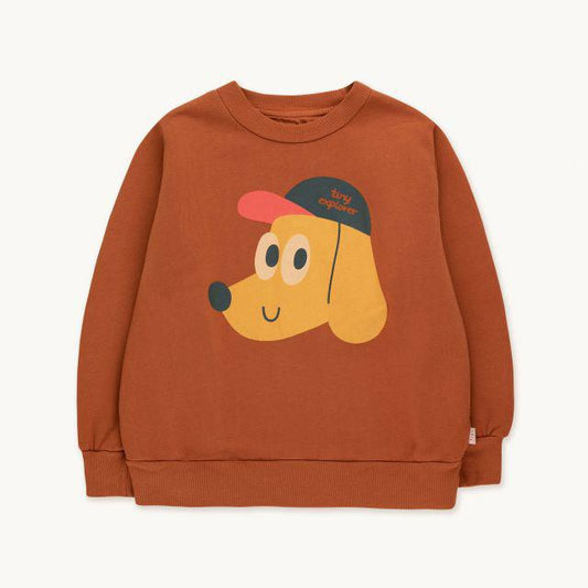 儿童棕色印花棉卫衣