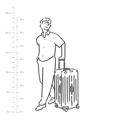 33寸Essential Trunk Plus油田金托运箱