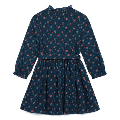 Girls Blue Floral Cotton Dress